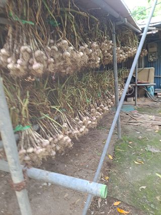 딱딱이~~님의 자유주제 · 자유게시판 작성글 사진