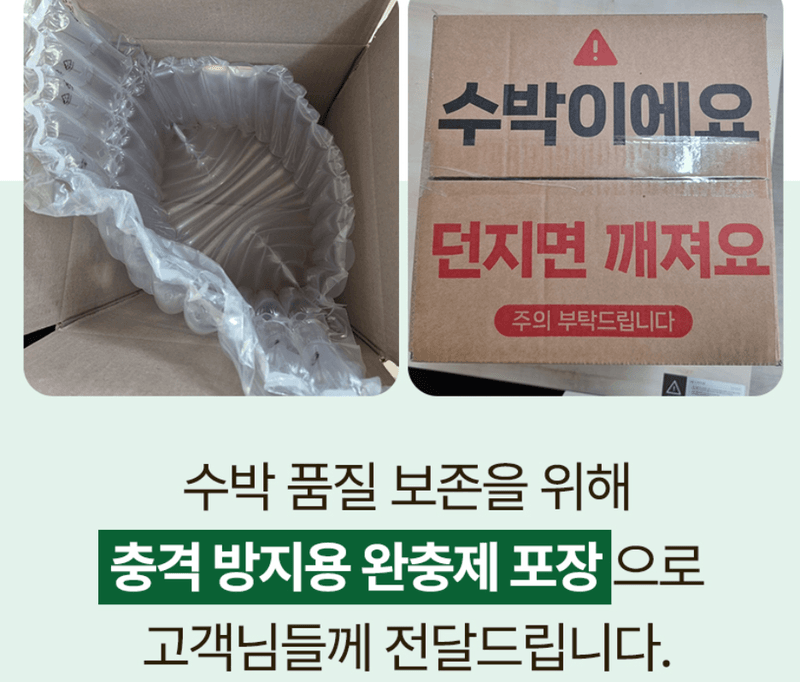 스피드번님의 장터 판매 상품 [(특가) 가정용 수박] 첨부 사진