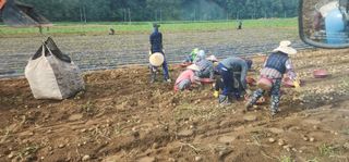 나으살던고향님의 자유주제 · 자유게시판 작성글 사진