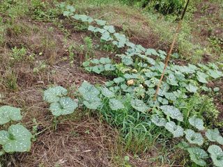 이현상님의 자유주제 · 자유게시판 작성글 사진