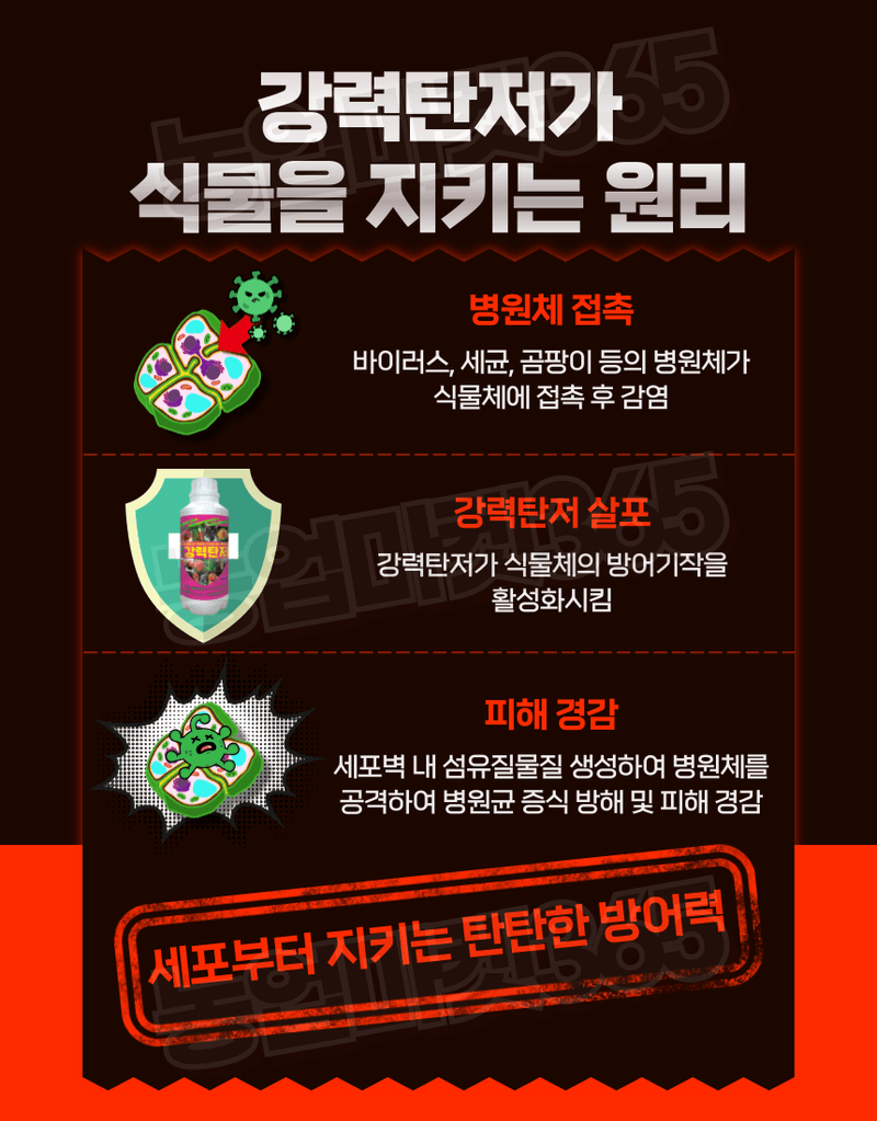 농업마켓365님의 장터 판매 상품 [농업마켓365 융전 강력탄저 액제 500ml 탄저병 예방 식물조직 강화 강력 기능성 물질] 첨부 사진
