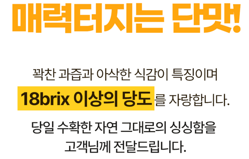 스피드번님의 장터 판매 상품 [[GAP] 성주 꿀참외] 첨부 사진