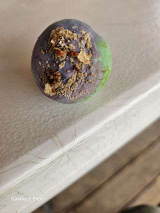 홍소장님의 자유주제 · 사진전 작성글 사진