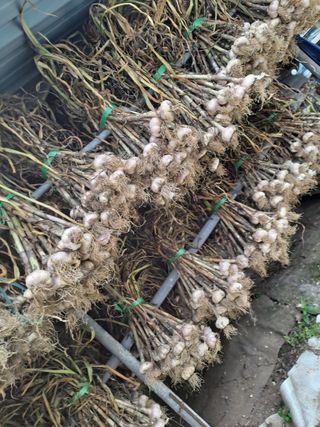 딱딱이~~님의 자유주제 · 자유게시판 작성글 사진