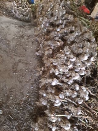 딱딱이~~님의 자유주제 · 자유게시판 작성글 사진