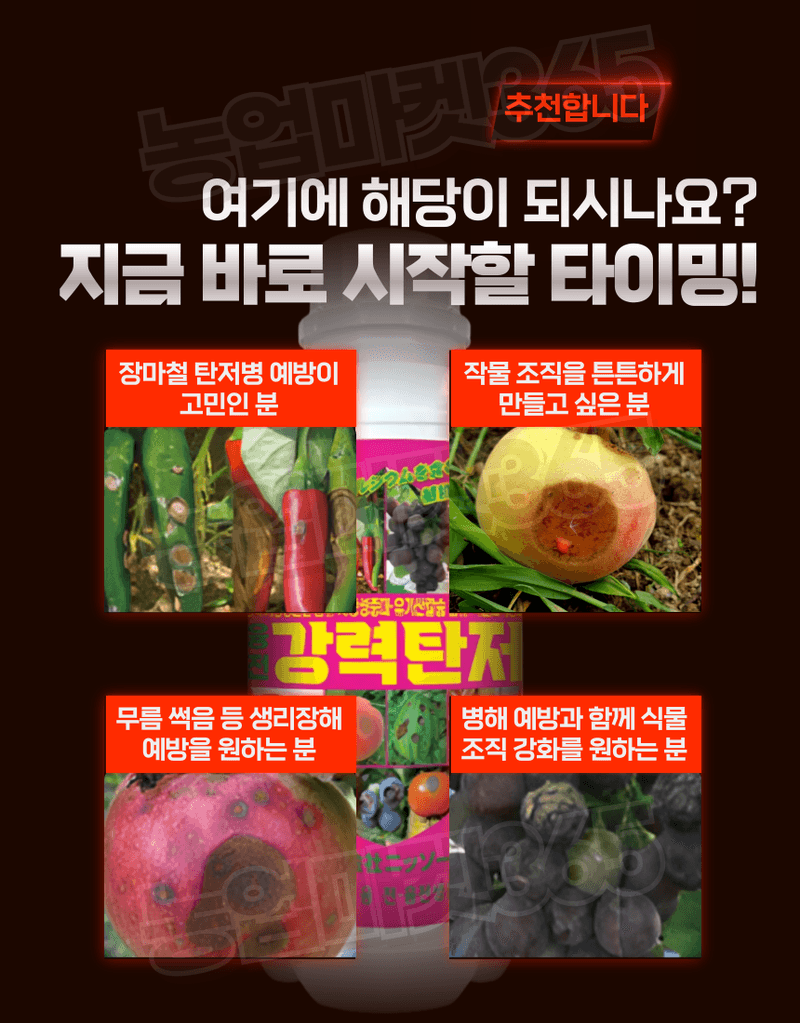 농업마켓365님의 장터 판매 상품 [농업마켓365 융전 강력탄저 액제 500ml 탄저병 예방 식물조직 강화 강력 기능성 물질] 첨부 사진