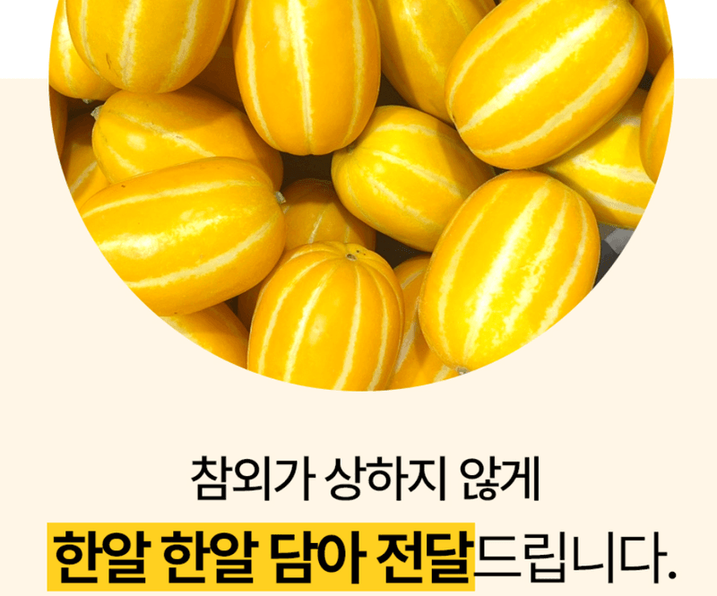 스피드번님의 장터 판매 상품 [[GAP] 성주 꿀참외] 첨부 사진