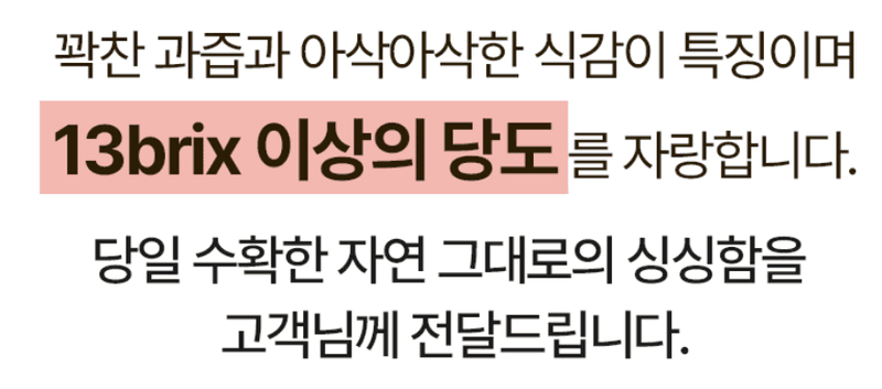스피드번님의 장터 판매 상품 [(특가) 가정용 수박] 첨부 사진