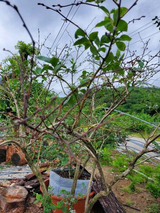 김희영님의 자유주제 · 자유게시판 작성글 사진