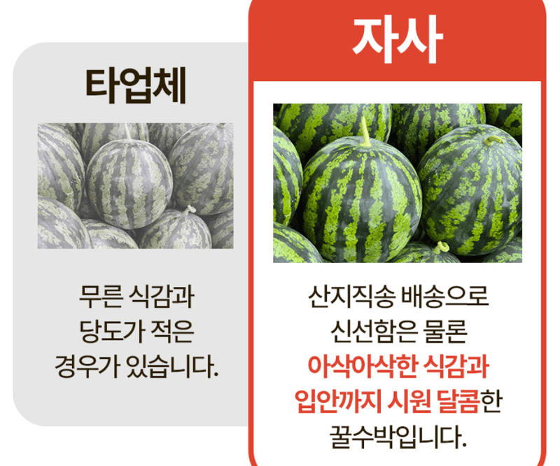 스피드번님의 장터 판매 상품 [(특가) 가정용 수박] 첨부 사진