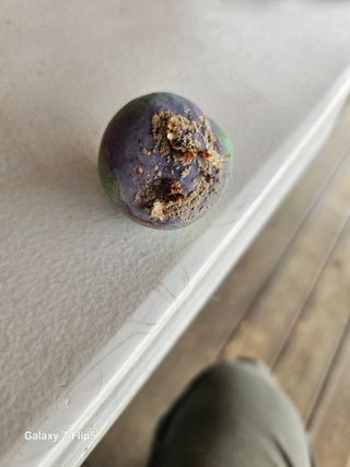 홍소장님의 자유주제 · 사진전 작성글 사진