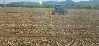 나으살던고향님의 자유주제 · 자유게시판 작성글 사진