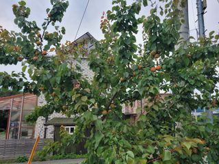 땅땅님의 자유주제 · 자유게시판 작성글 사진