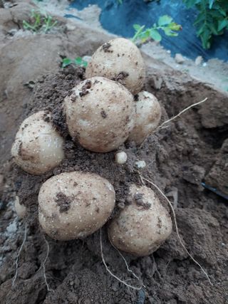 최승동님의 자유주제 · 자유게시판 작성글 사진