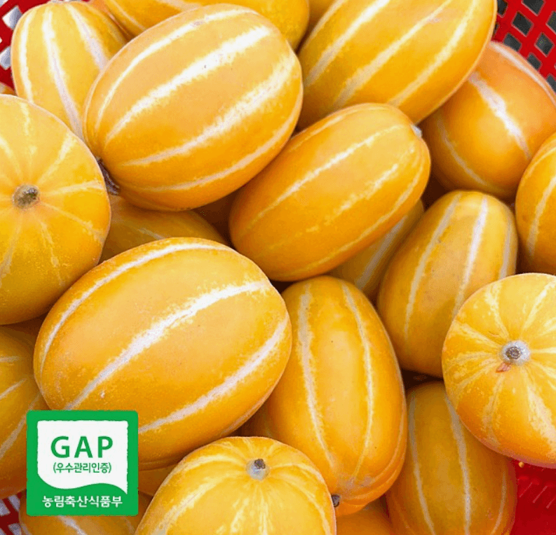 장터 상품 [[GAP] 성주 꿀참외] 썸네일