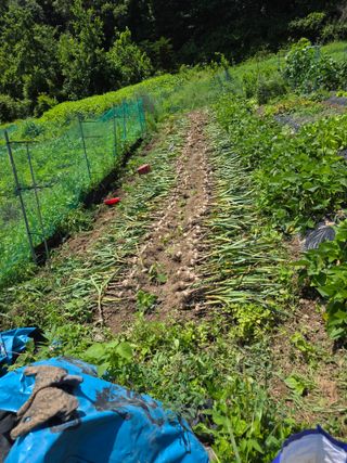 이원복님의 자유주제 · 사진전 작성글 사진