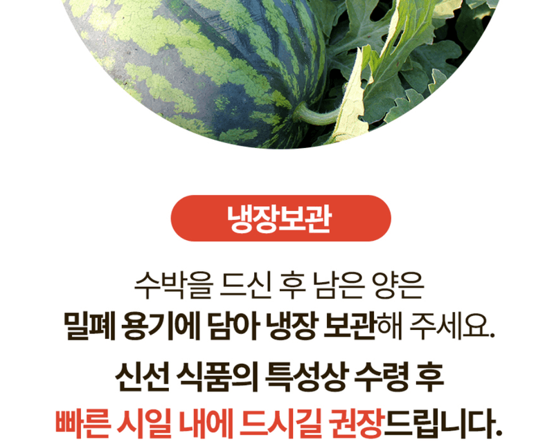 스피드번님의 장터 판매 상품 [(특가) 가정용 수박] 첨부 사진