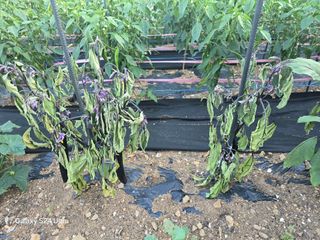 김남철님의 자유주제 · 자유게시판 작성글 사진