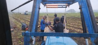 나으살던고향님의 자유주제 · 자유게시판 작성글 사진