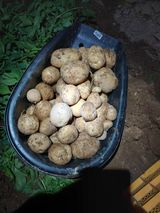 팜모닝 자유주제·자유게시판 게시글 이미지