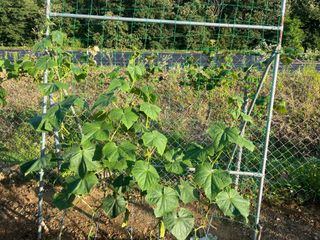 정의현님의 자유주제 · 자유게시판 작성글 사진