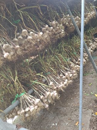 딱딱이~~님의 자유주제 · 자유게시판 작성글 사진