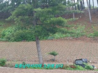 인생은 소풍처럼님의 자유주제 · 자유게시판 작성글 사진