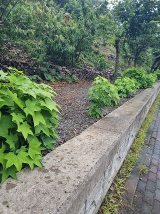 김용대님의 자유주제 · 자유게시판 작성글 사진