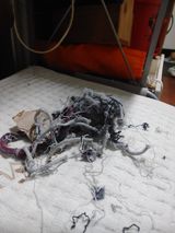 팜모닝 자유주제·건의해요 게시글 이미지