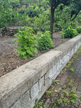 김용대님의 자유주제 · 자유게시판 작성글 사진