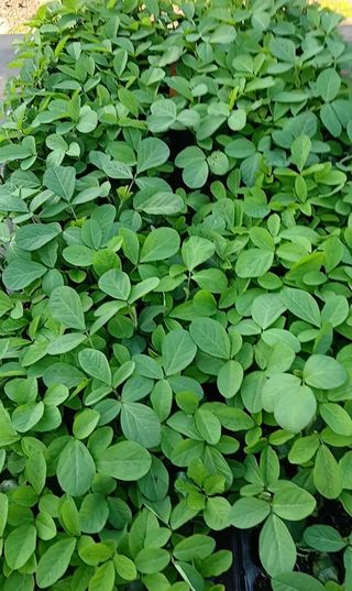 인생은 소풍처럼님의 자유주제 · 자유게시판 작성글 사진