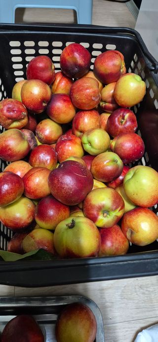 봉림동 태진농장님의 자유주제 · 자유게시판 작성글 사진