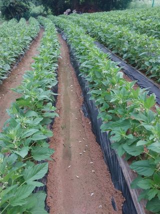 정금천님의 자유주제 · 자유게시판 작성글 사진