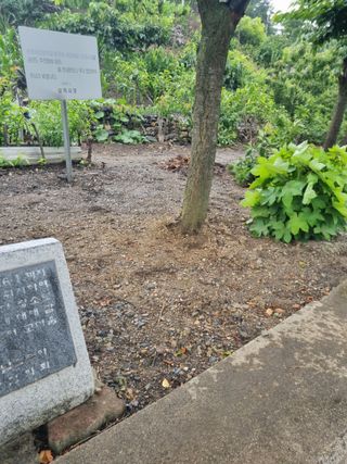 김용대님의 자유주제 · 자유게시판 작성글 사진