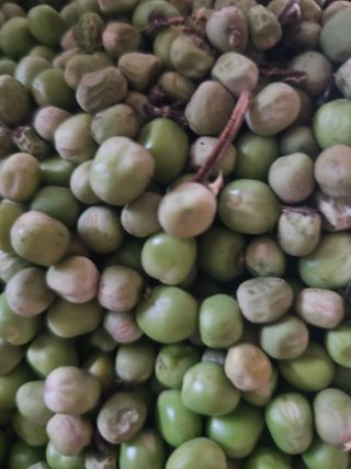 farmer님의 자유주제 · 자유게시판 작성글 사진