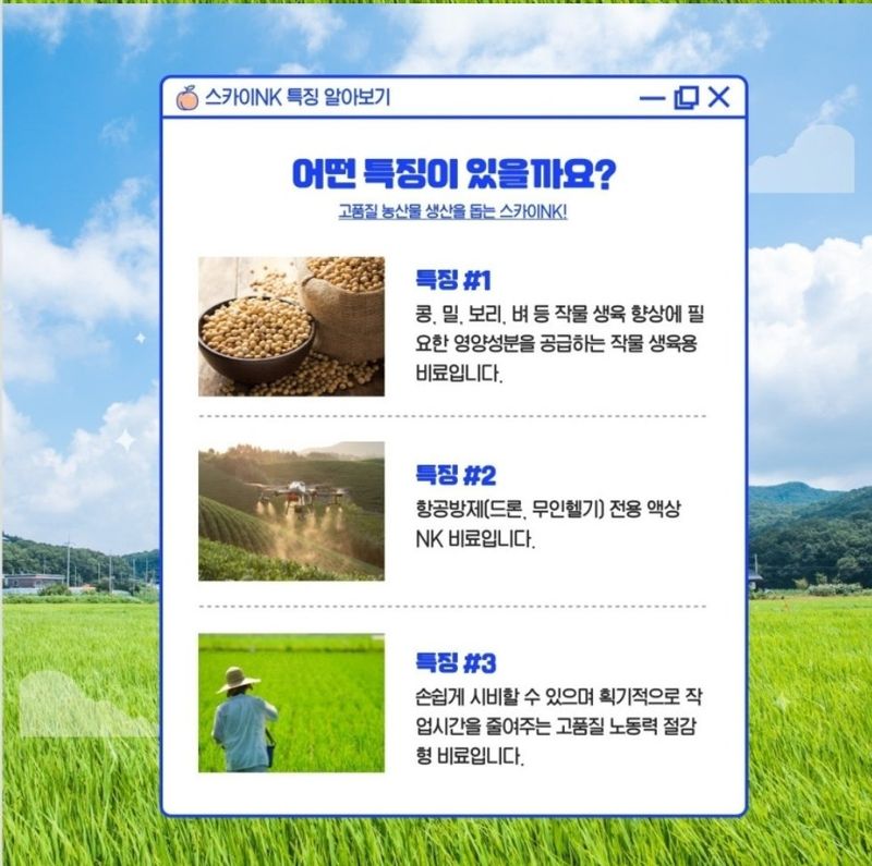 대산농사대장님의 장터 판매 상품 [스카이 NK 콩 , 보리, 밀 ,벼 전용 액상비료  드론사용가능] 첨부 사진