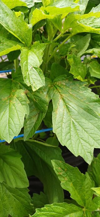 산골마님님의 자유주제 · 자유게시판 작성글 사진