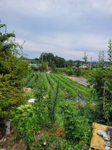 팜모닝 자유주제·자유게시판 게시글 이미지