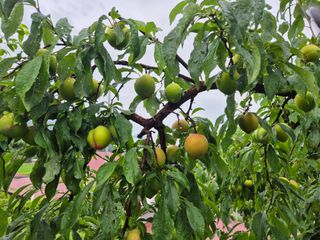 천운산님의 자유주제 · 자유게시판 작성글 사진