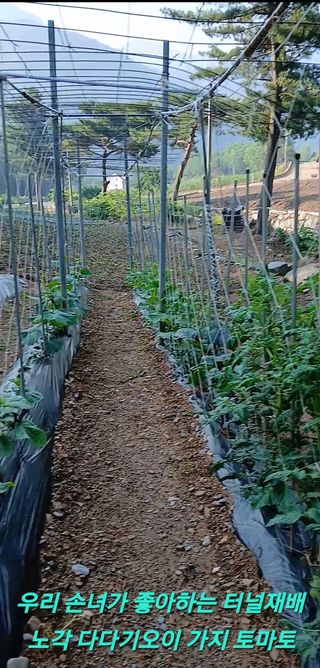 인생은 소풍처럼님의 자유주제 · 자유게시판 작성글 사진