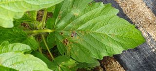 산골마님님의 자유주제 · 자유게시판 작성글 사진