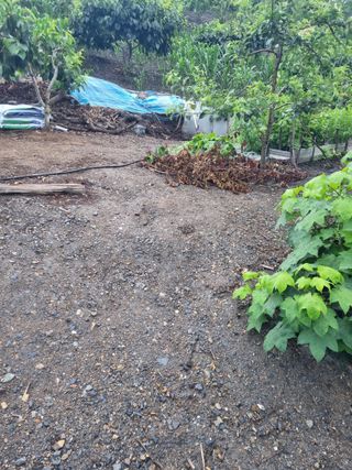 김용대님의 자유주제 · 자유게시판 작성글 사진