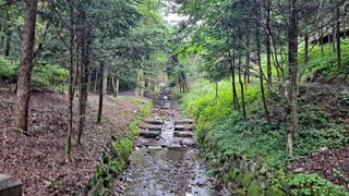 MSG0074님의 자유주제 · 자유게시판 작성글 사진