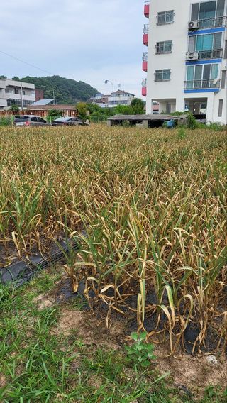 귀향인님의 작성글 사진