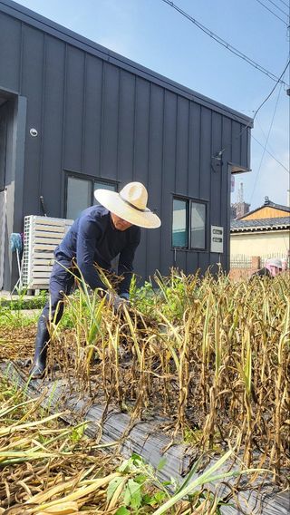 귀향인님의 작성글 사진