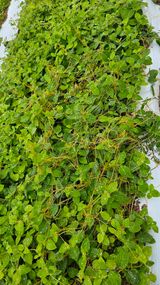 팜모닝 자유주제·자유게시판 게시글 이미지