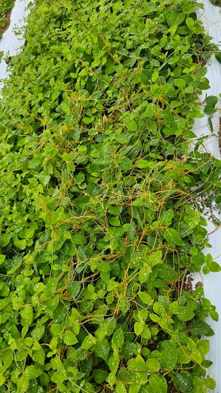 신현길 (님의 자유주제 · 자유게시판 작성글 사진