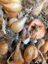 팜모닝 · 게시글 이미지