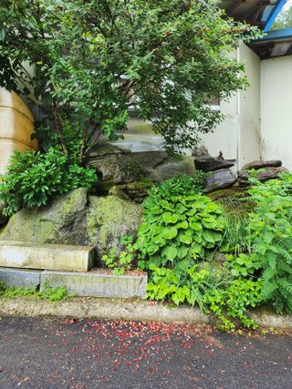 윤미선(농경채인증님의 자유주제 · 자유게시판 작성글 사진