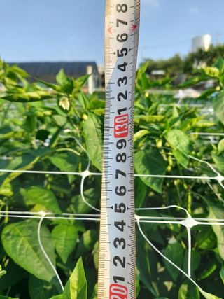 둥이농장(김준태)님의 자유주제 · 자유게시판 작성글 사진